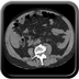 Clinical case 9 - Polytrauma patient struck by a foal in a field