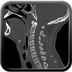Clinical case 8 - Polytrauma due to a fall of a few meters following a loop while paragliding