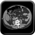 Clinical case 9 - Polytrauma patient struck by a foal in a field