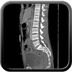 Clinical case 1 - Polytrauma due to road traffic accident, light vehicle against plane tree