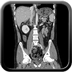 Clinical case 5 - Polytrauma due to road accident of single light vehicle against plane tree, not wearing seatbelt