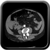 Clinical case 9 - Polytrauma patient struck by a foal in a field